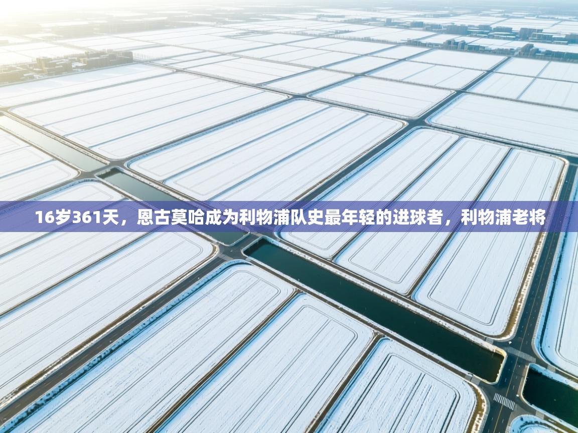 ld乐动体育app官方网站-16岁361天,恩古莫哈成为利物浦队史最年轻的进球者,利物浦老将 第1张