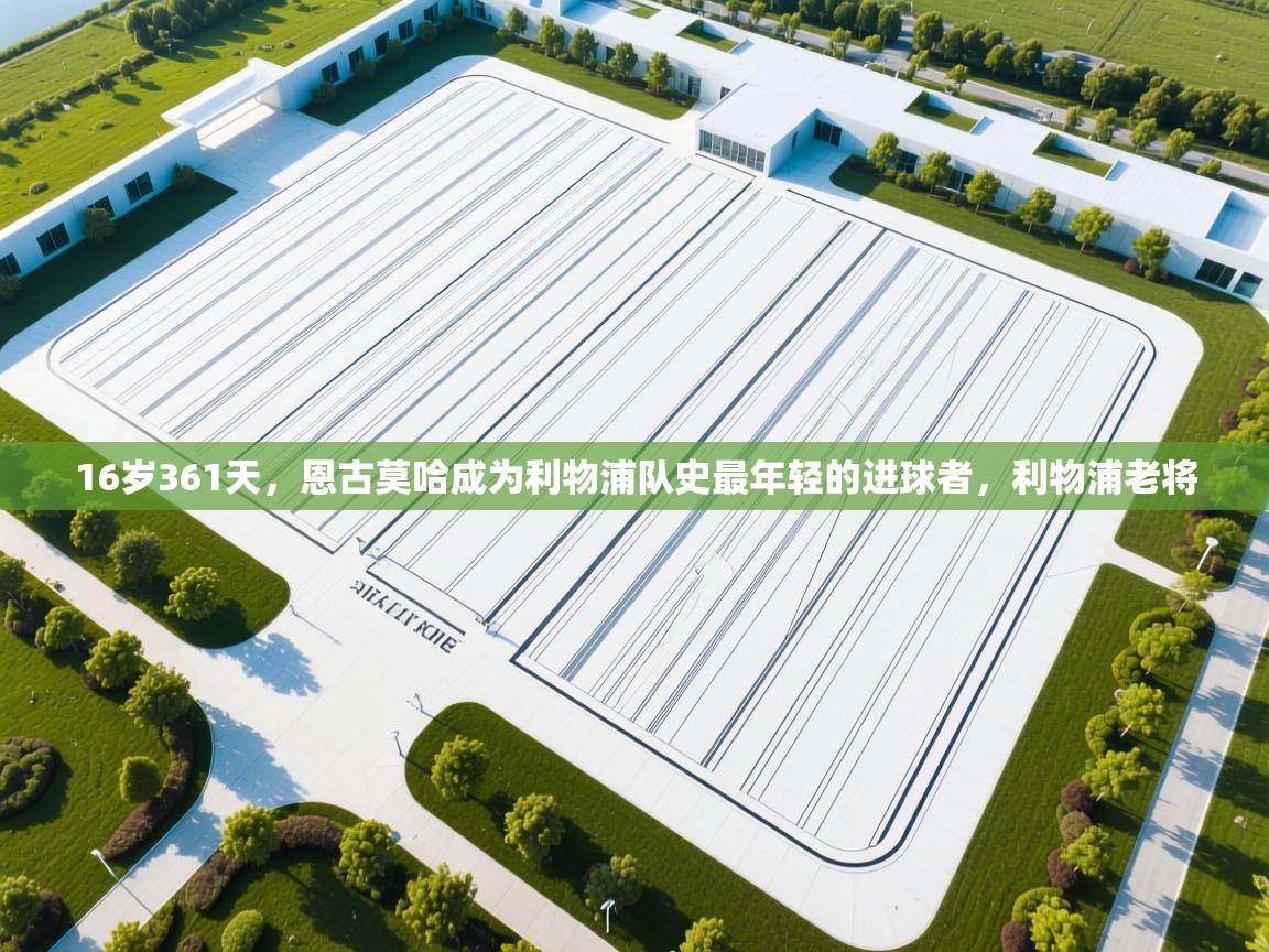 ld乐动体育app官方网站-16岁361天,恩古莫哈成为利物浦队史最年轻的进球者,利物浦老将 第4张