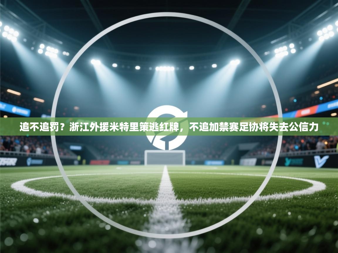 乐动体育论坛-追不追罚？浙江外援米特里策逃红牌，不追加禁赛足协将失去公信力  第4张