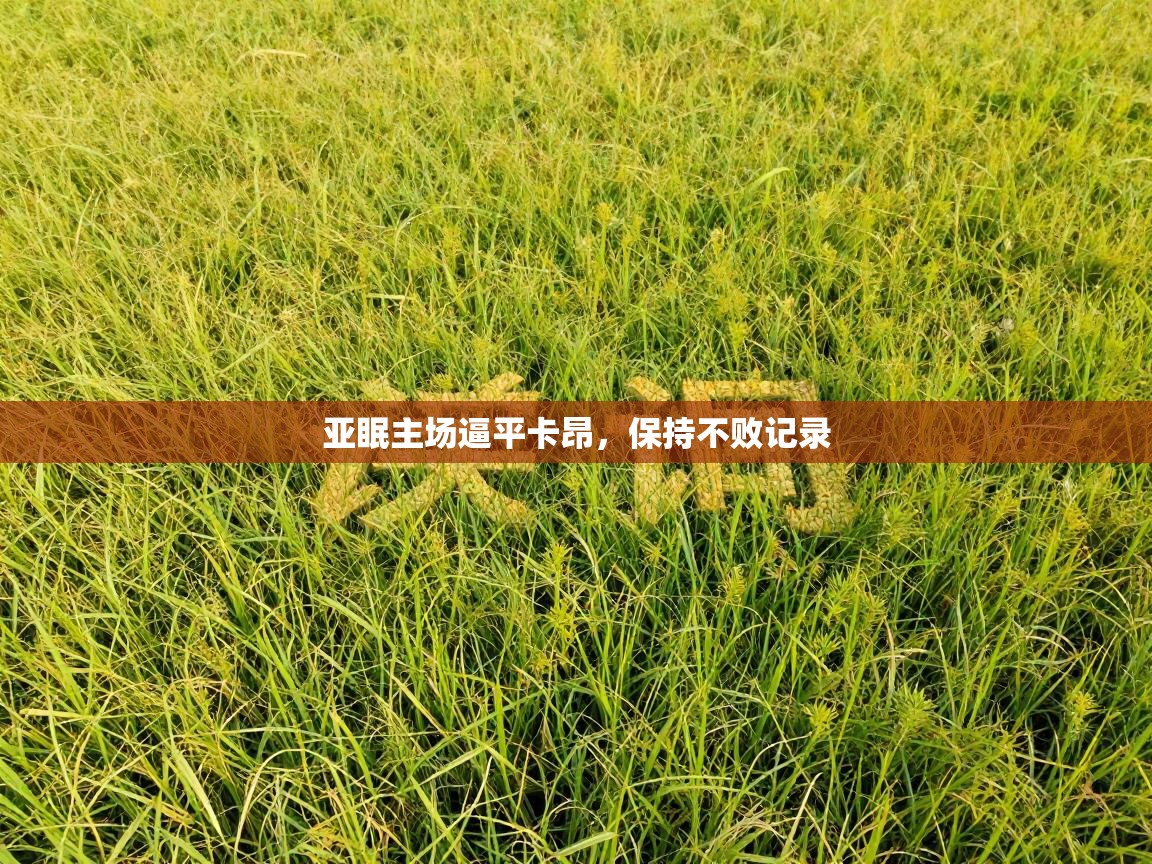 ld乐动体育app官网-亚眠主场逼平卡昂,保持不败记录 第4张