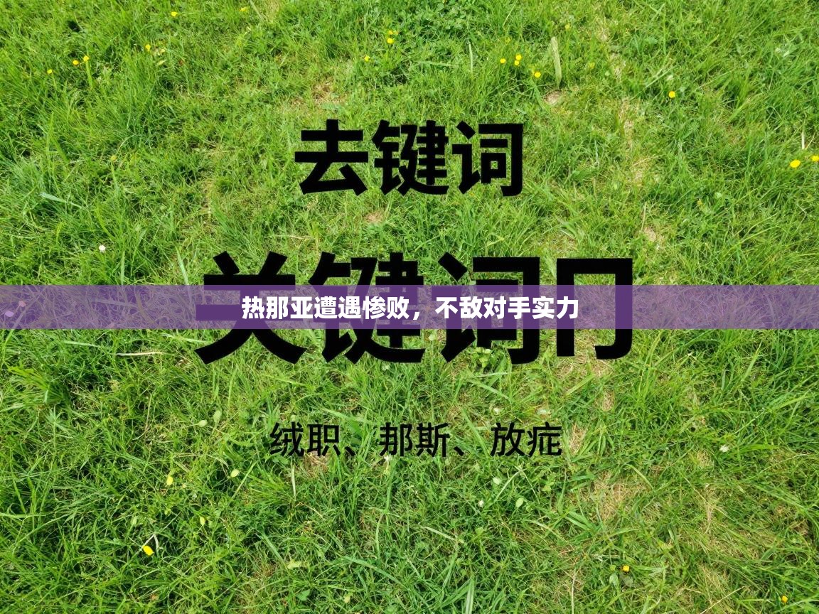 乐动体育官网-热那亚遭遇惨败，不敌对手实力  第4张