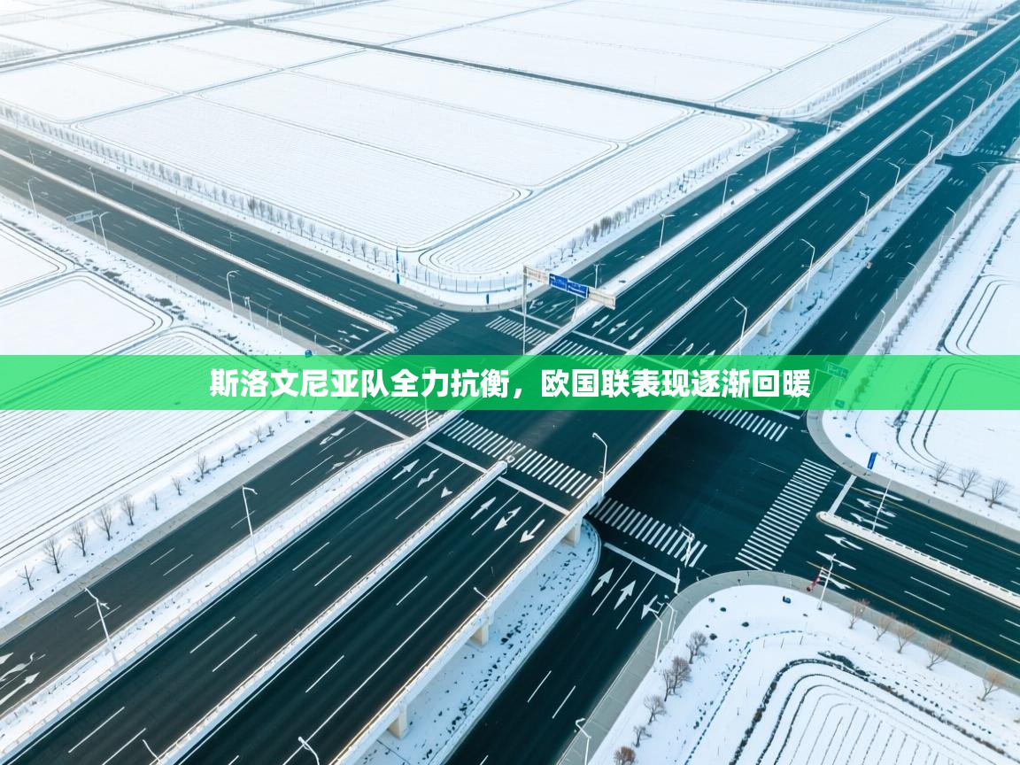 ld乐动体育网页版登录-斯洛文尼亚队全力抗衡，欧国联表现逐渐回暖  第3张