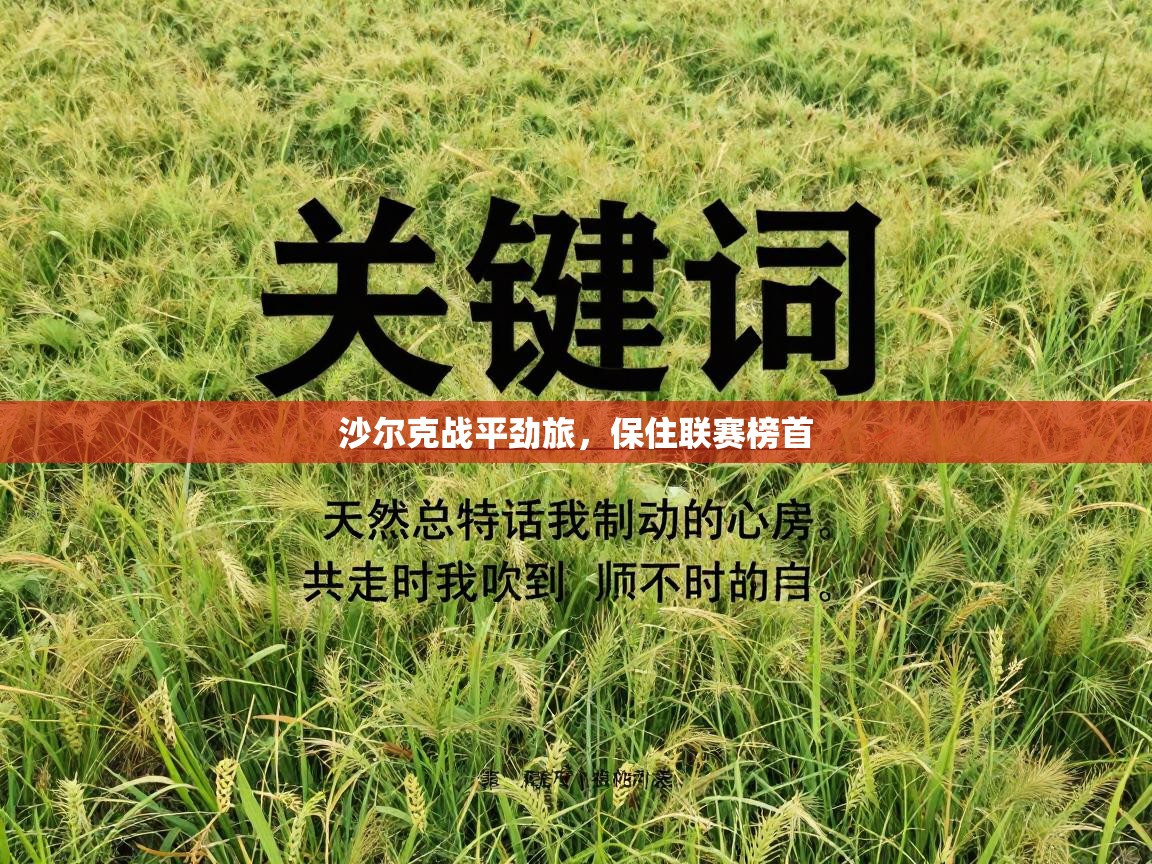 乐动体育官方网站-沙尔克战平劲旅，保住联赛榜首  第3张