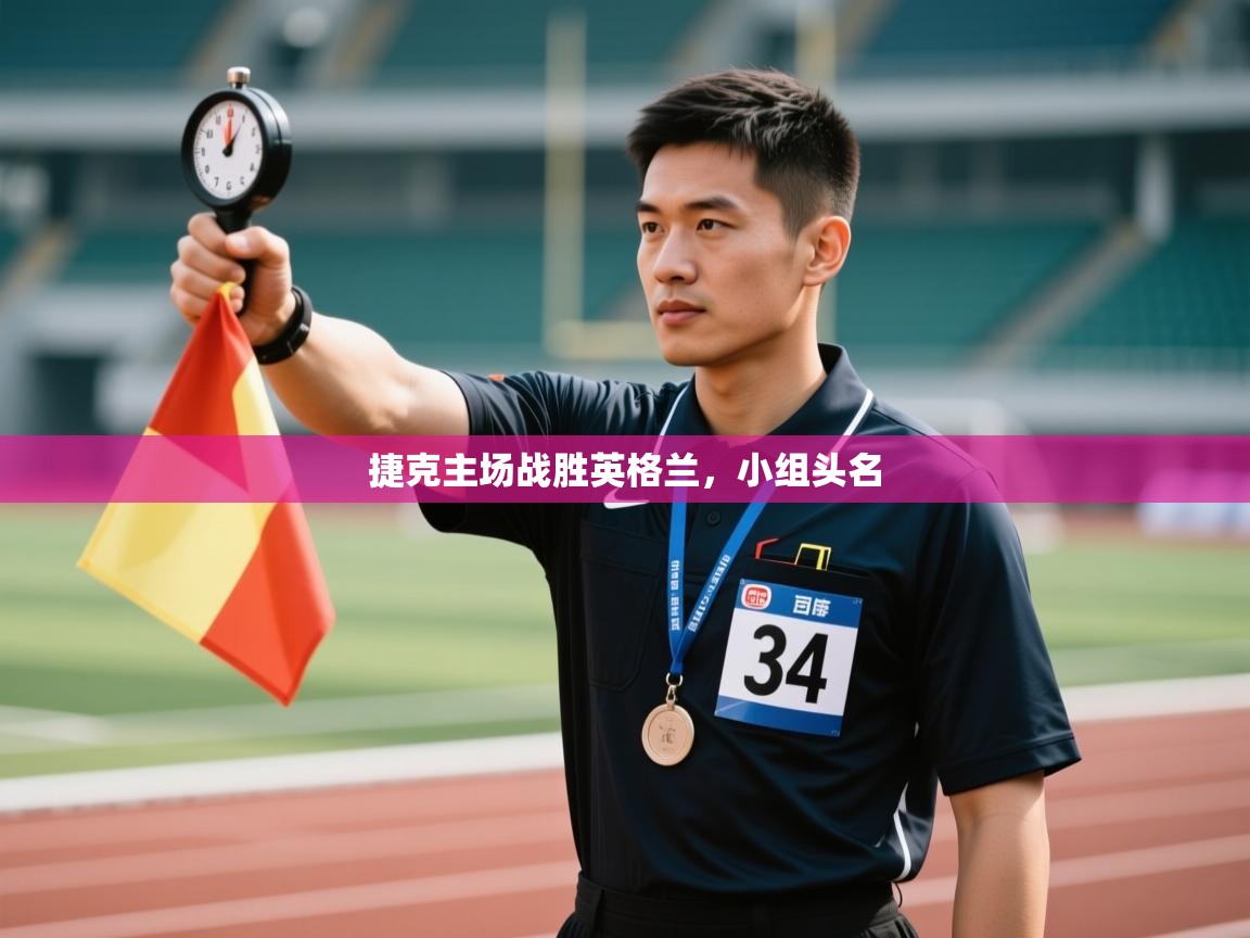 乐动体育app评价-捷克主场战胜英格兰，小组头名  第4张